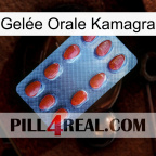 Gelée Orale Kamagra 06